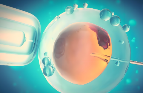 _国内单身试管_单身女性试管婴儿国内