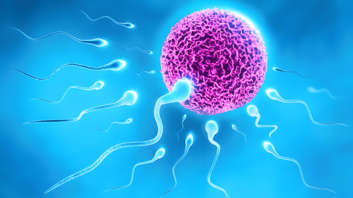 _国外单身生育_单身生育合法的国家