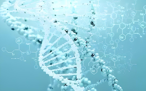 _单身的女的试管婴儿怎么上户口_单身试管婴儿合法吗